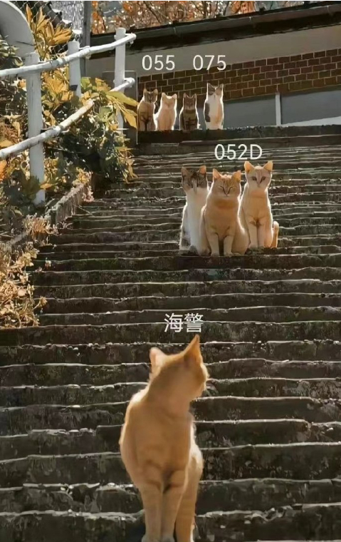 菲方人员用划桨长棍攻击我海警菲方围顶冲撞中方巡逻艇 万里海疆，寸步不让！ 