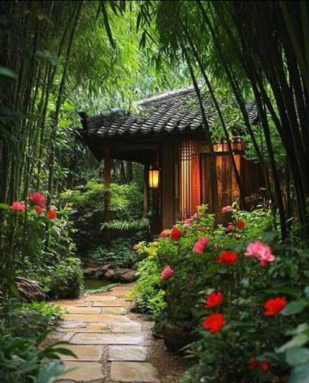 洋洋高锐·杏林·在外◎午夜……总想变成一只蜻蜓随着……鬼狐聊斋飞向世外桃源◎瞧，