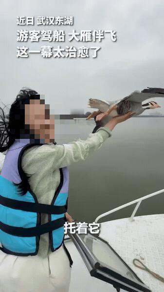 “没想到上人民日报了！”武汉，一女子驾船出海欣赏美景，突然飞来一群大雁和船并肩同