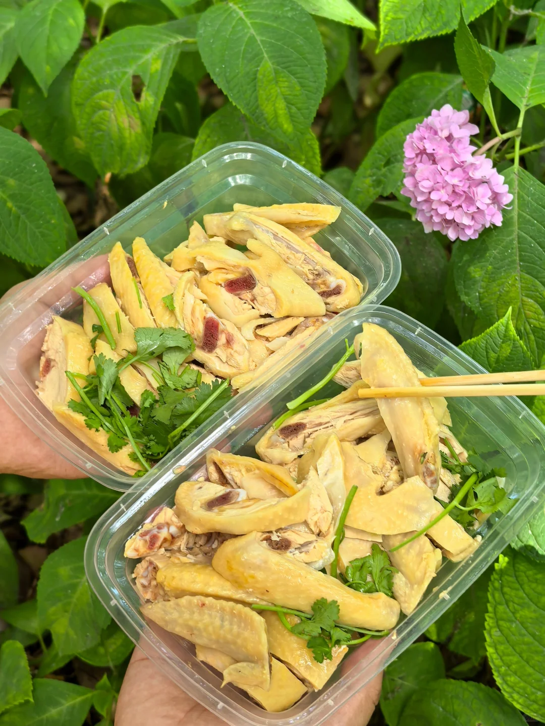家附近新开了一家专做白斩鸡的熟食小店，周末带着老妈一起来看看～ 环境整...