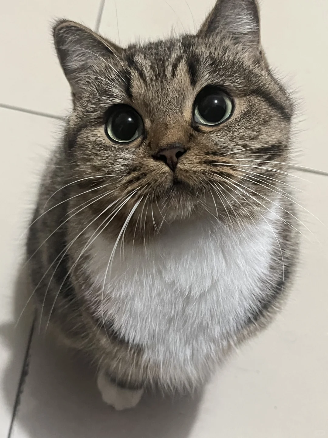 救命啊…她好像知道自己很好看🥺