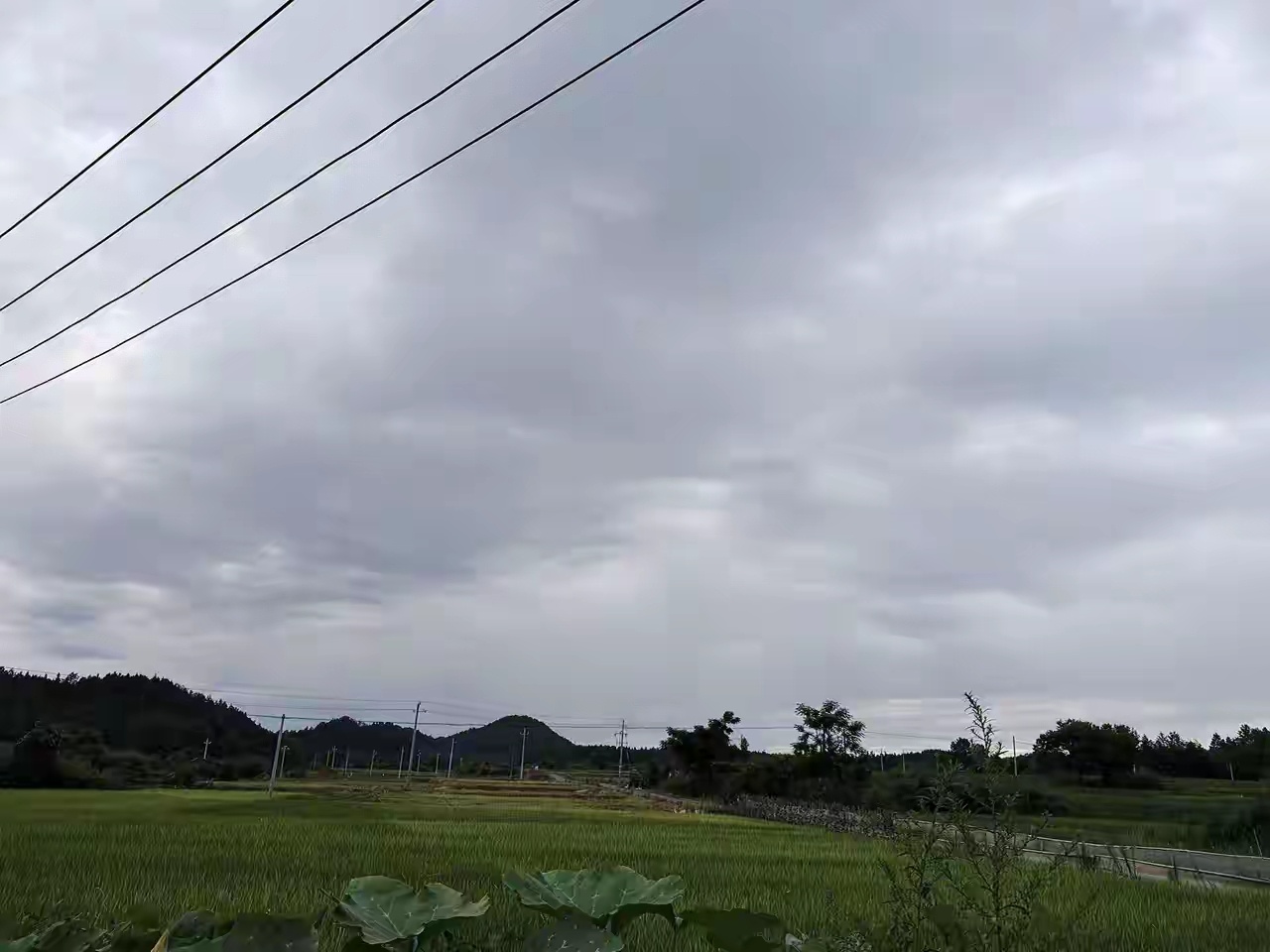 想回村了 