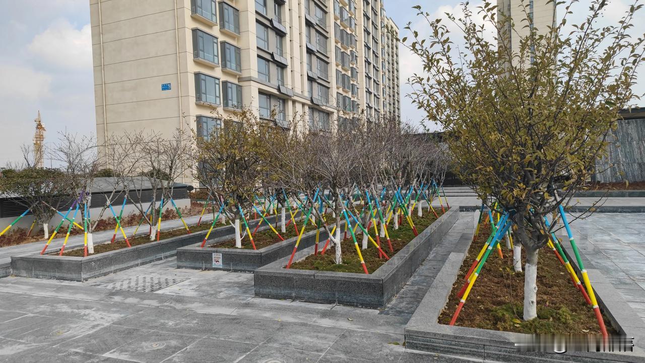 变了，又变了
​    来石岛越冬，咱们这锦绣华府小区和夏天相比，又有了新的变化