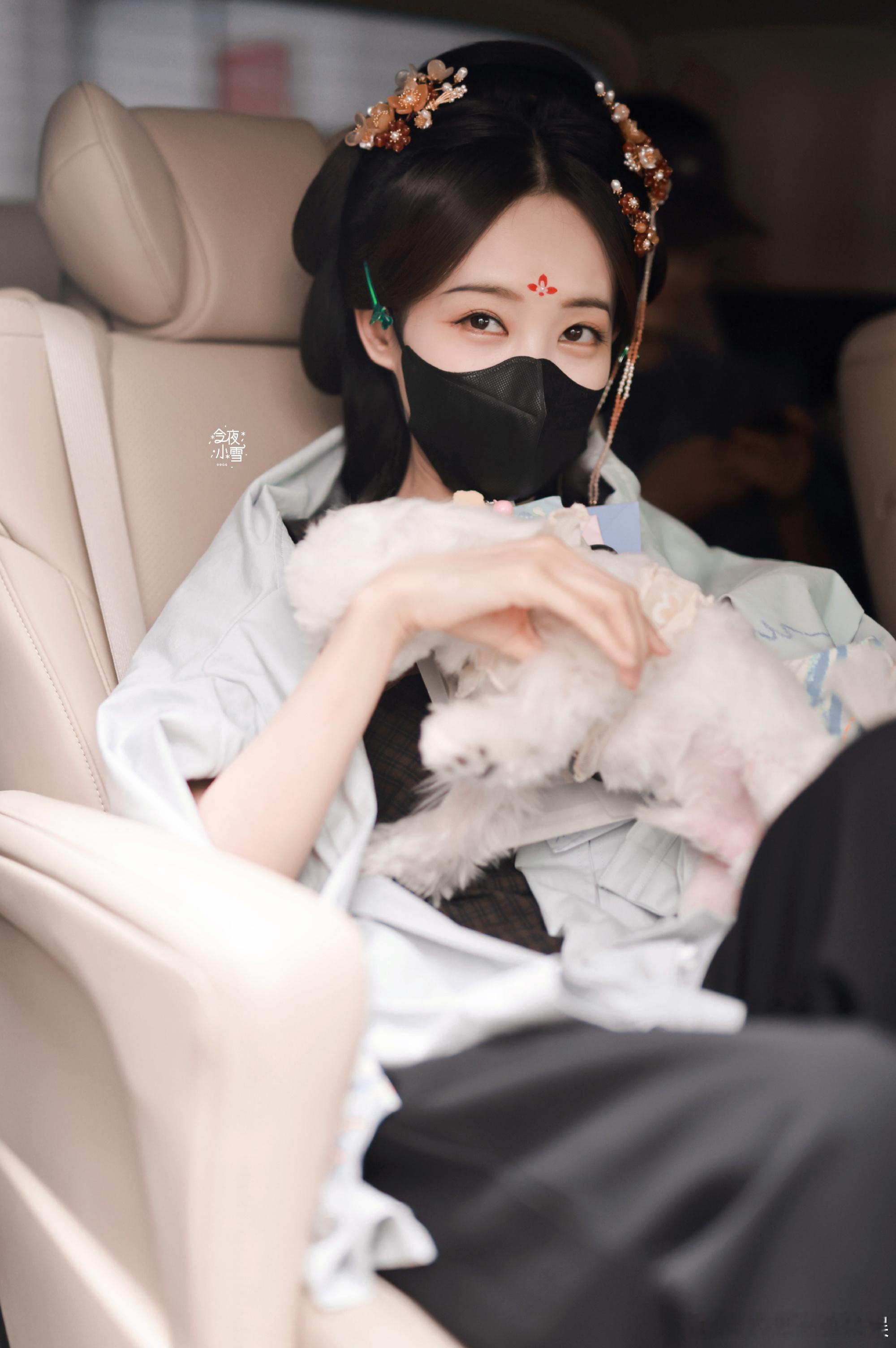 李一桐怎么也开始带宠物上班了？ ​​​
