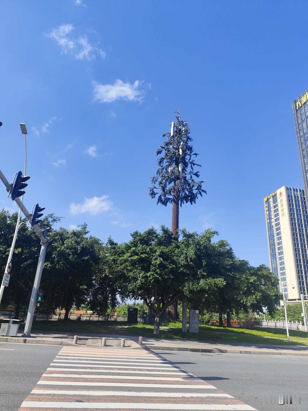 当无人网约车、无人快递车，开始与普通人抢饭碗时，社会底层的民众将何去何从？
今年