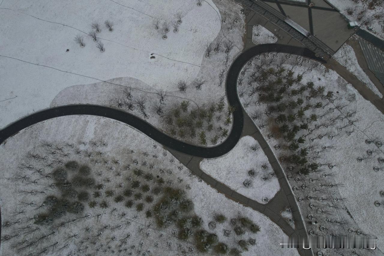 雪中的巨无霸公园