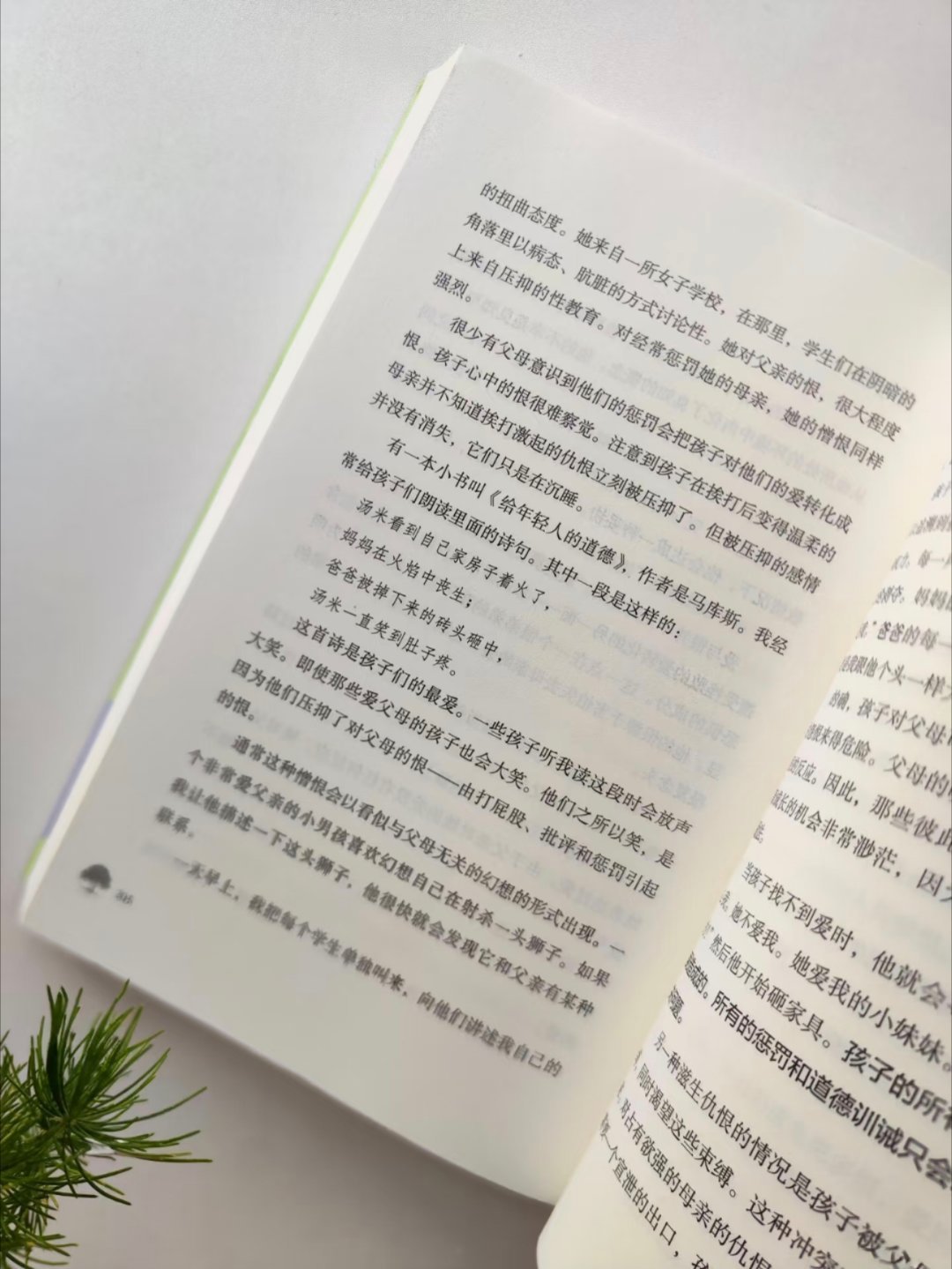 在夏山，你只需做自己！ 