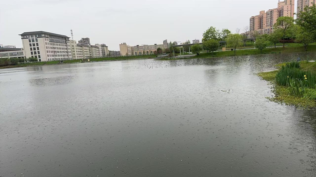 昨日上午的天空还是难得地开太阳了，赶紧洗了两铺床的被套和垫单，分两次洗，睡了一个