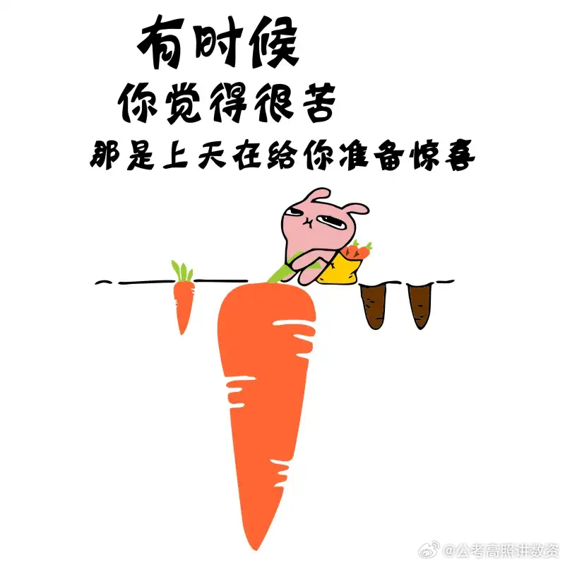 纵有疾风起，人生不言弃。        现阶段无论是学习还是生活所带来的的压力与