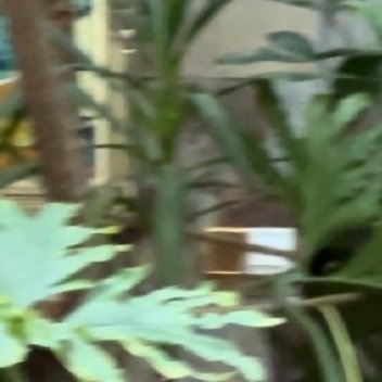 #李汶翰[超话]#李汶翰最近状态真不错啊，看着就很有活力！ ​​​