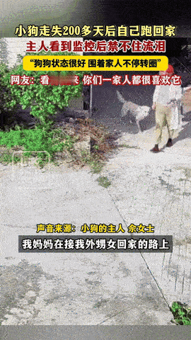 “还吃得下狗肉吗？”湖南常德，一女子接外孙女放学路上，无意间看到了走失200多天