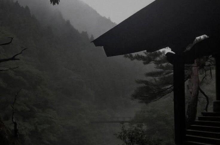 【背景图】分享‹𝟹₊˚⊹♡黑色|灰色|文艺|清冷|古典|竹林|古筝|水墨|审美