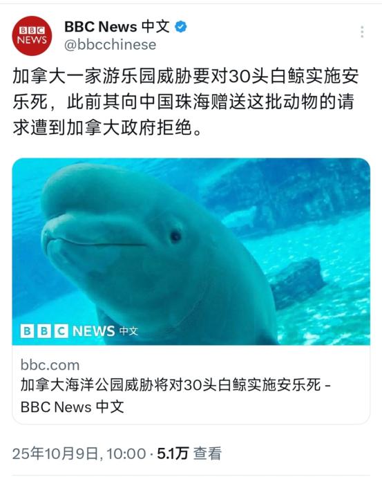 BBC中文网10月9日报道：“加拿大一家游乐园威胁要对30头白鲸实施安乐死，此前