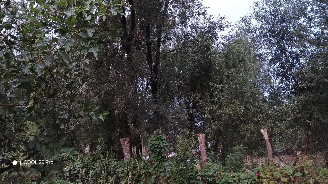 支持！但一定要在不破坏当地生态环境的前提下进行，如此才能真正造福一方。