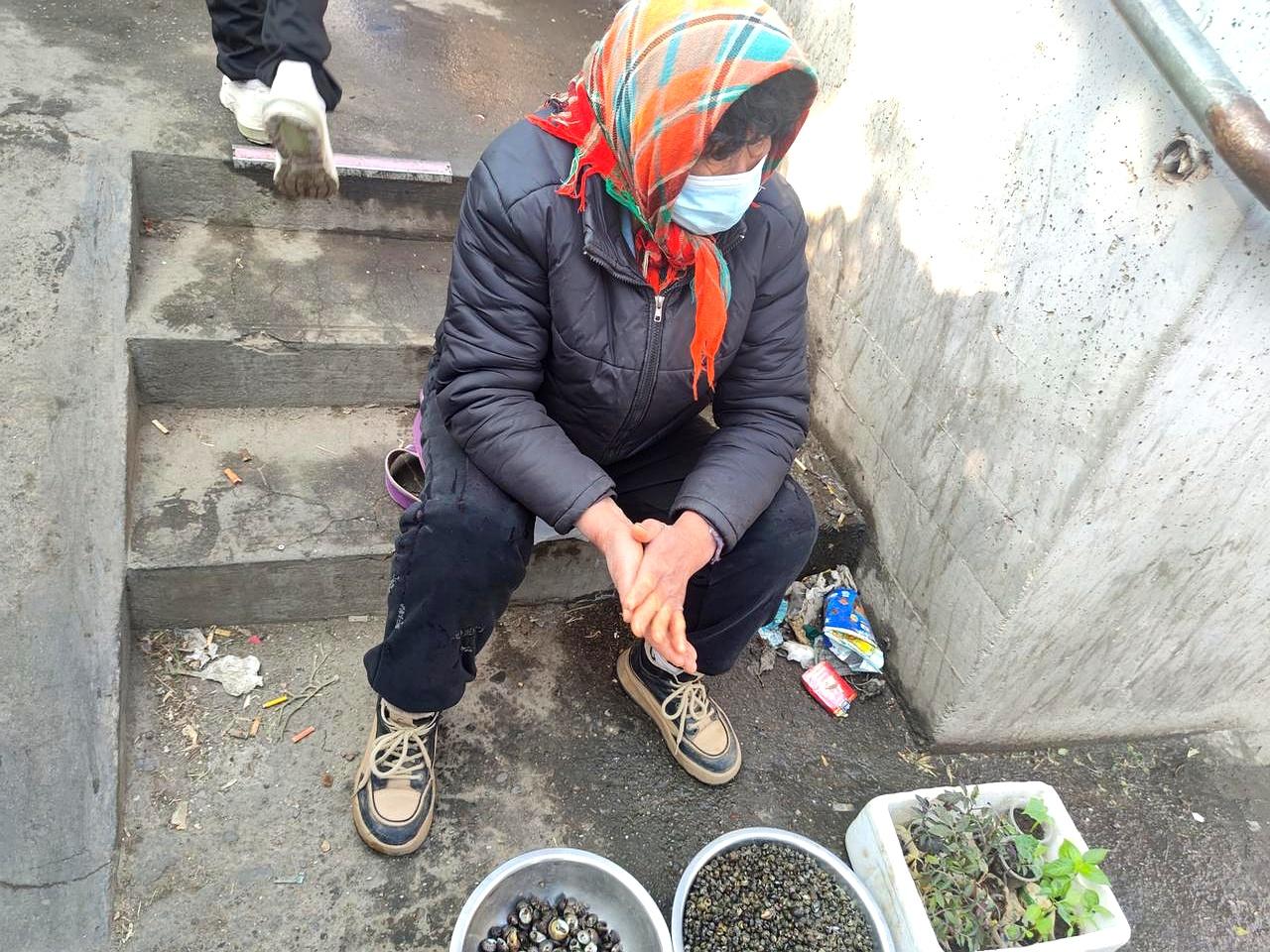 你说那个堵在台阶上卖菜的老娘们儿？
我也碰见过！
就在西南路早市那个必经的台阶上