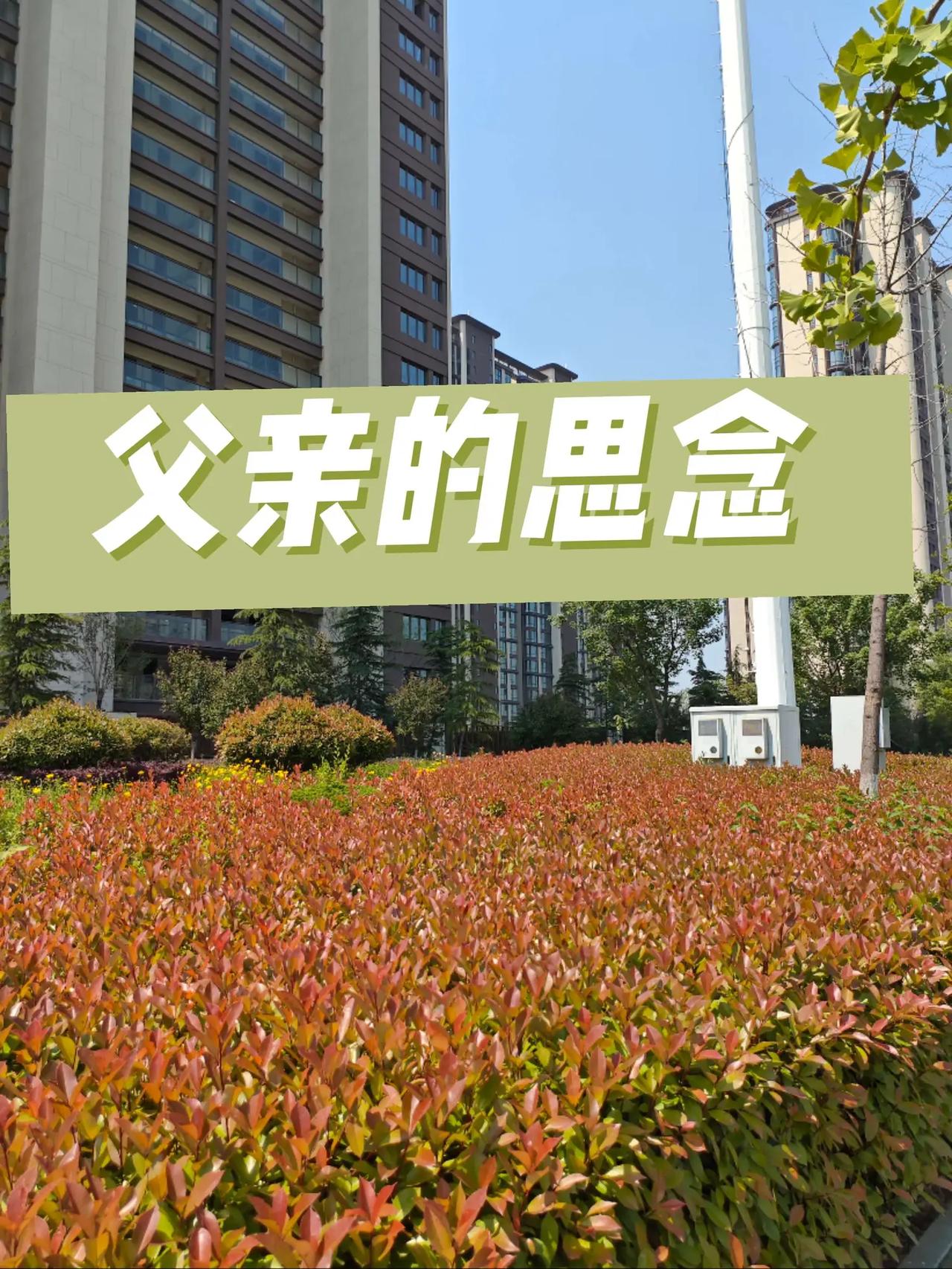 父亲的思念。地标建筑 晒出你手机里的地标建筑 有多少人知道这是哪个地方 熟悉的城