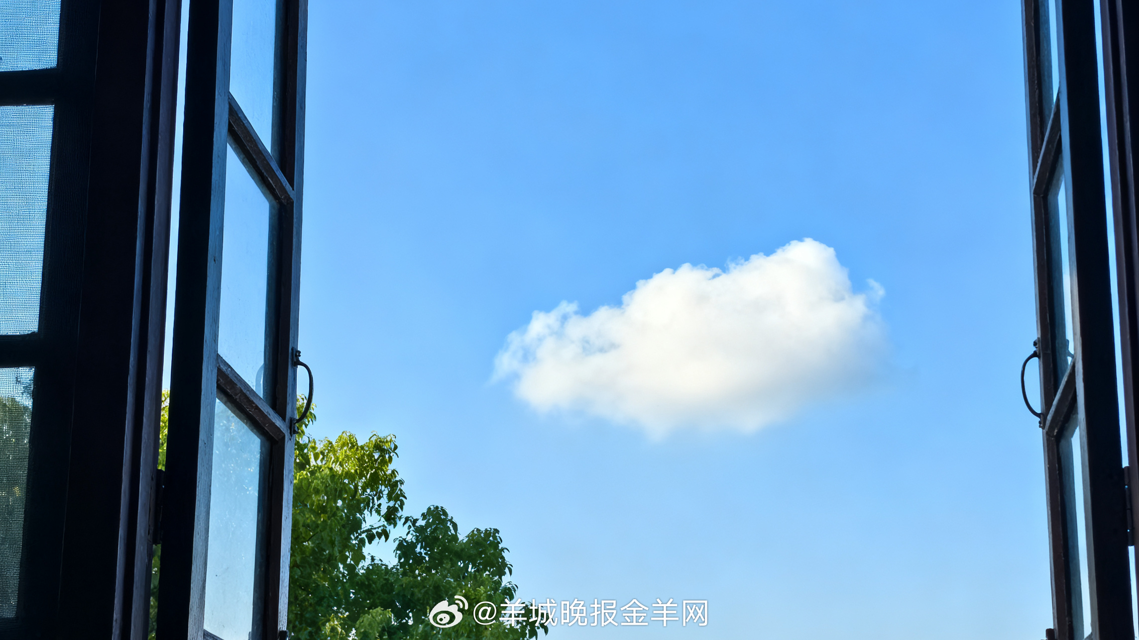 #早安#窗外的天空是浅浅的蓝，像被水洗过一样干净。有一朵云慢悠悠地飘着，不急不赶