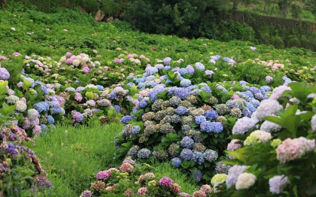 夏日生活打卡季穿行山野镜头在哪儿风景就在哪儿。连绵青山环抱村落，土路蜿蜒连接农家