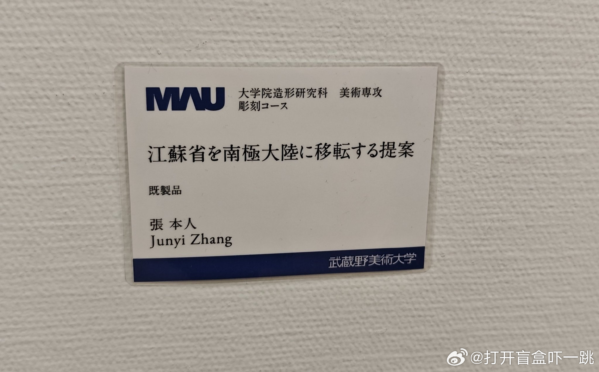 谁能告诉我日本武藏野美术大学挂出来的到底是什么？是江苏留学生的抽象作品吗？给我干