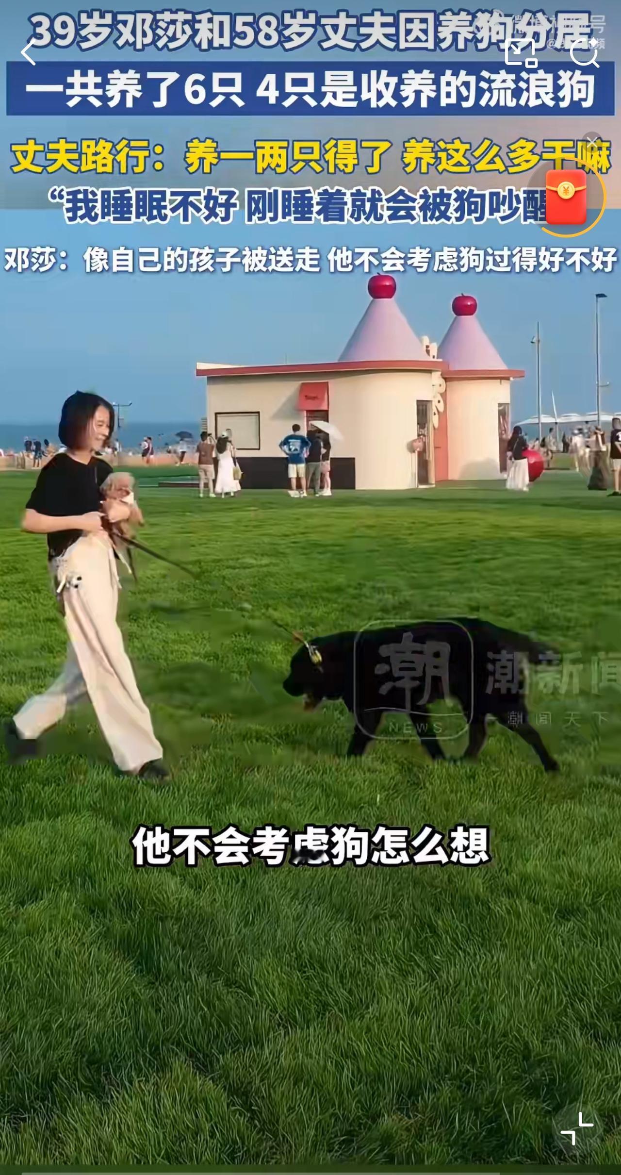 这个邓莎真的好奇怪啊
一边说自己带娃很辛苦
一边又要自己折腾去养那么多狗。

她