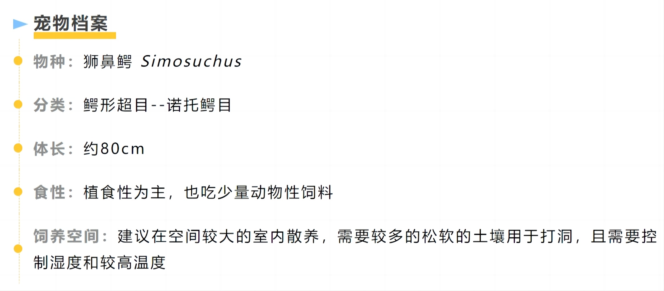 #你的桌面恐龙博物馆# 第二十二课 狮鼻鳄（一）Simosuchus 今天我将为