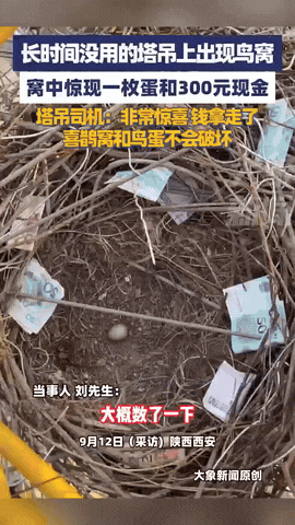 万万没想到！9月12日，陕西西安，一男子长久未使用的塔吊上出现喜鹊窝，里面惊现一