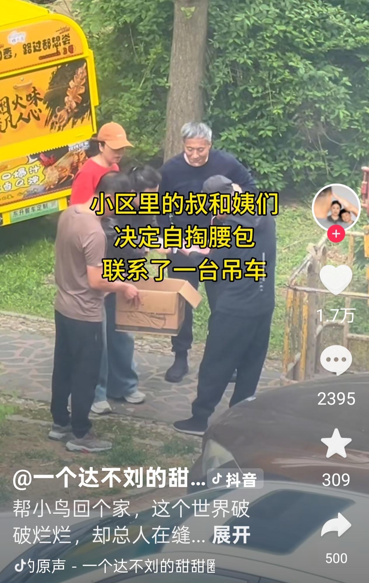 因为现在是鸟儿孵化的季节，当然，也许是我喜欢看这样的视频，于是网上推荐的就多了。