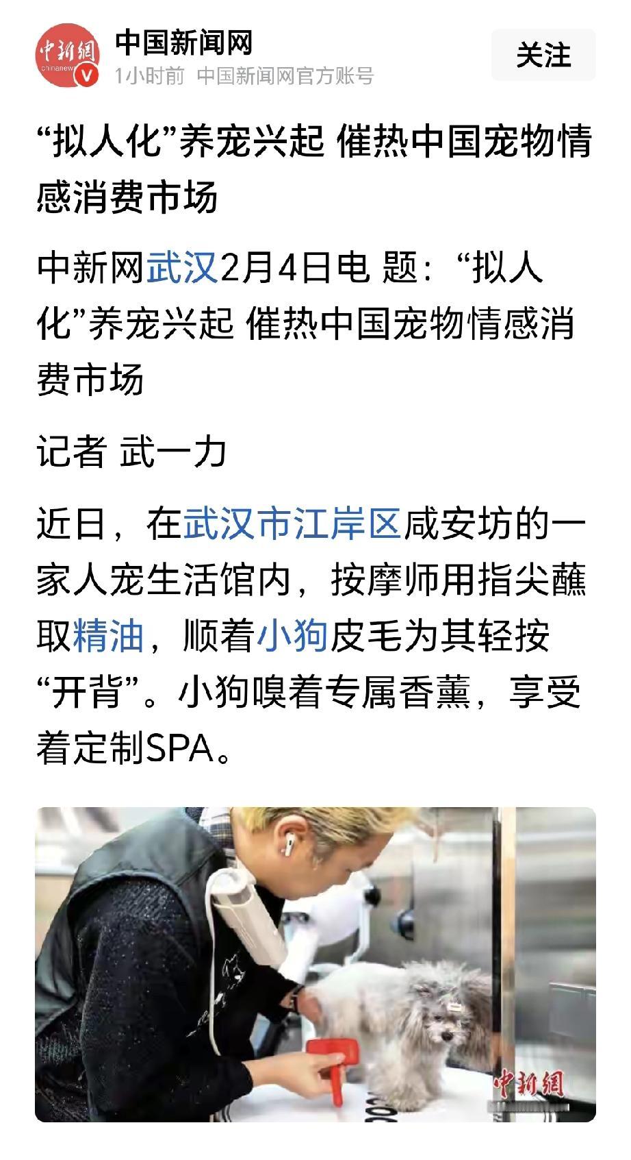 看看这媒体在宣扬着什么样的观点，在向社会公众传递着什么样的价值导向？
当宠物狗享