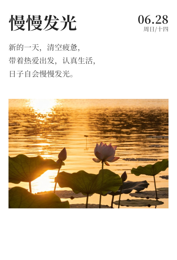 早安  ⛈️每日早起打卡 生命于每个人，都是仅此一回的珍贵馈赠，没有重来的机会，