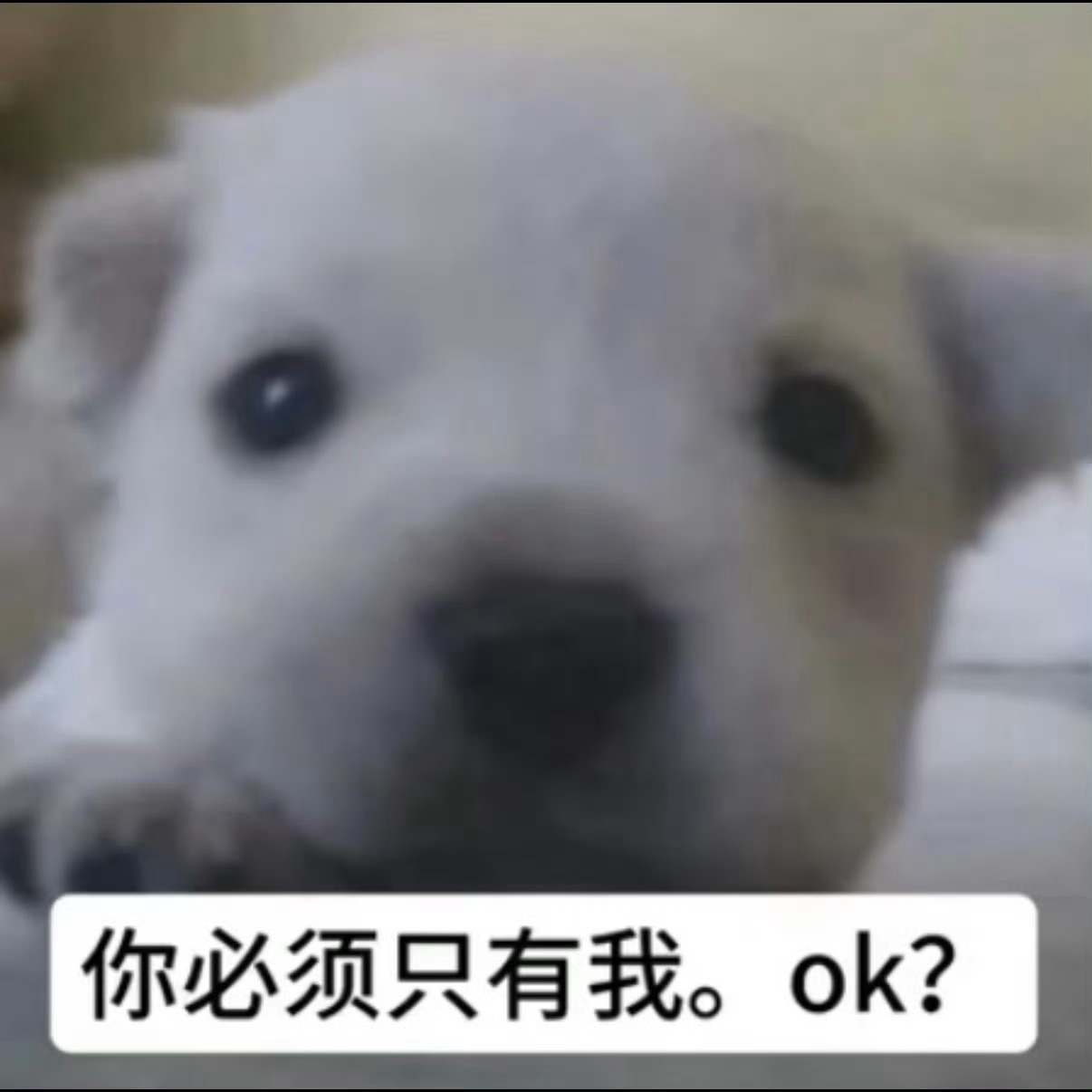 晚安！！记得梦到我，懂？ 