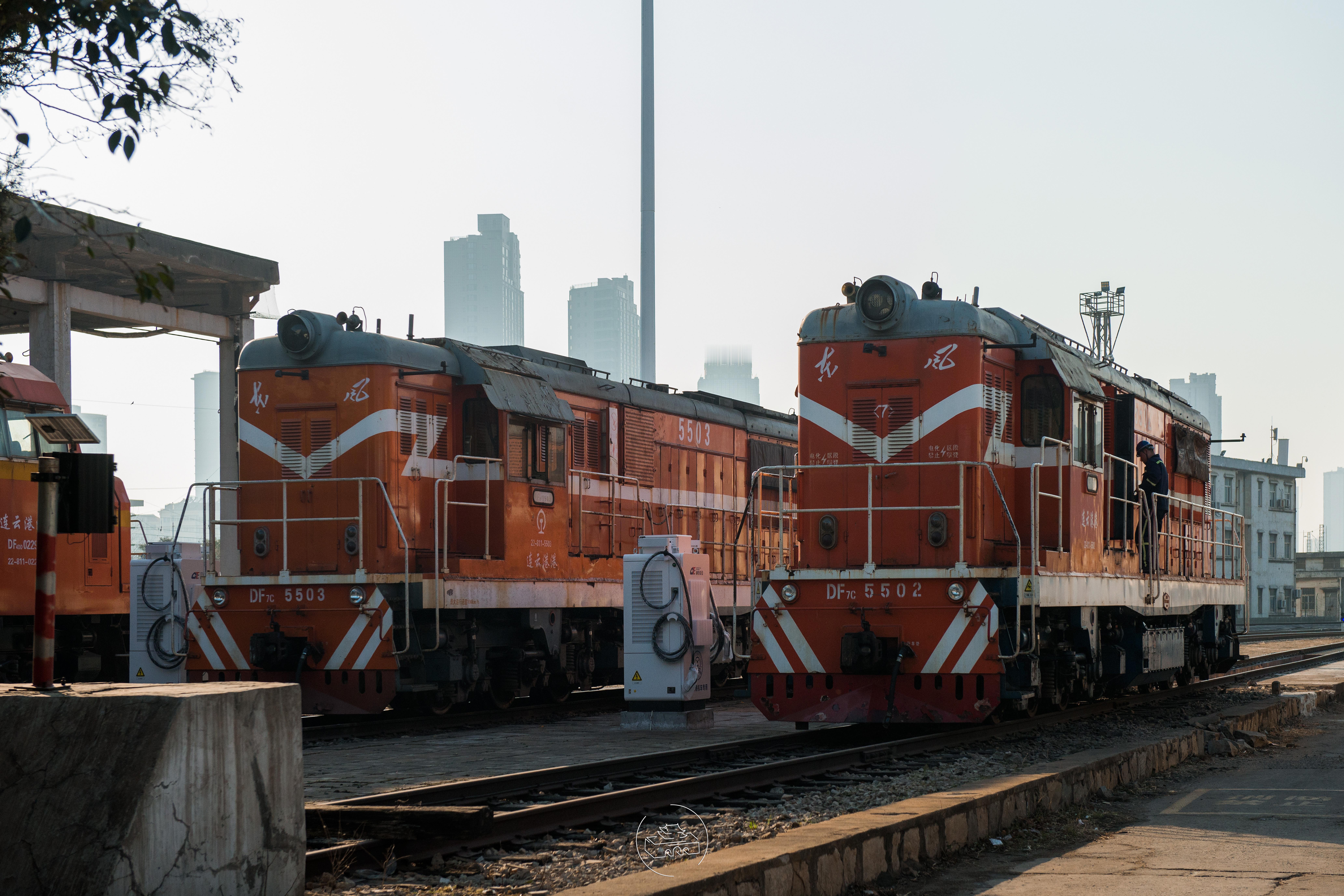 连云港 春天将至 