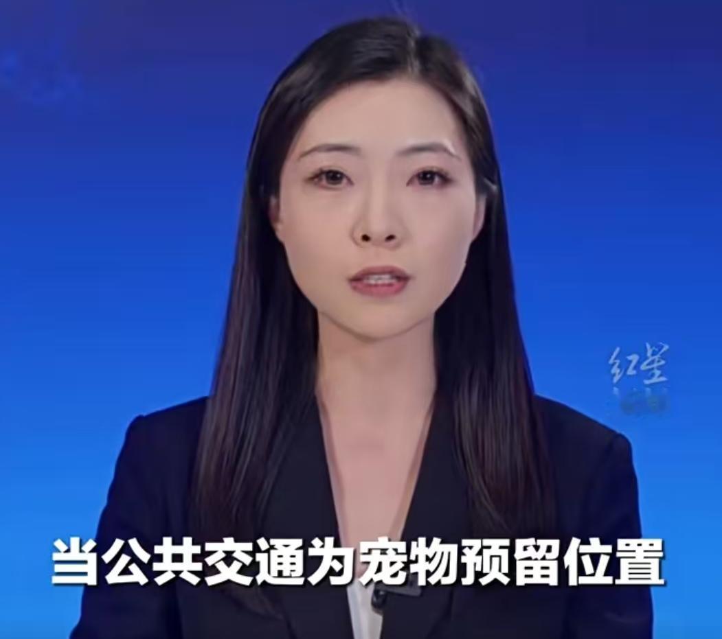 对于广大“铲屎官”来说，逢年过节或者工作变动需要跨城搬家时，最让人头大的难题莫过