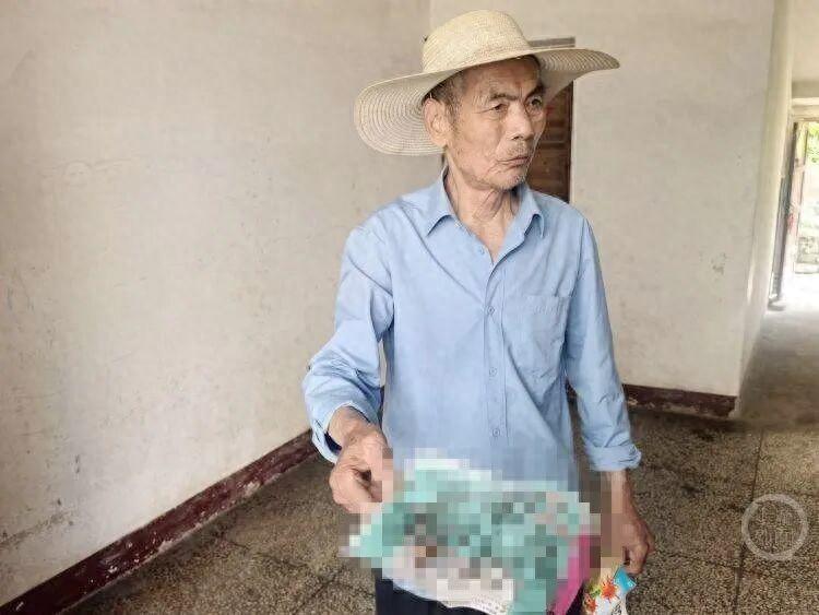 触目惊心！湖北一村庄正经历前所未有的苍蝇围攻，一张粘蝇纸仅26小时就被糊满百余只