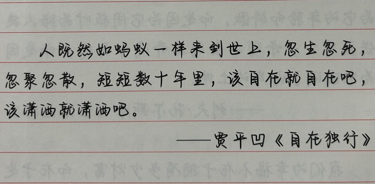 人如蚂蚁般来到世上，该潇洒就潇洒吧！