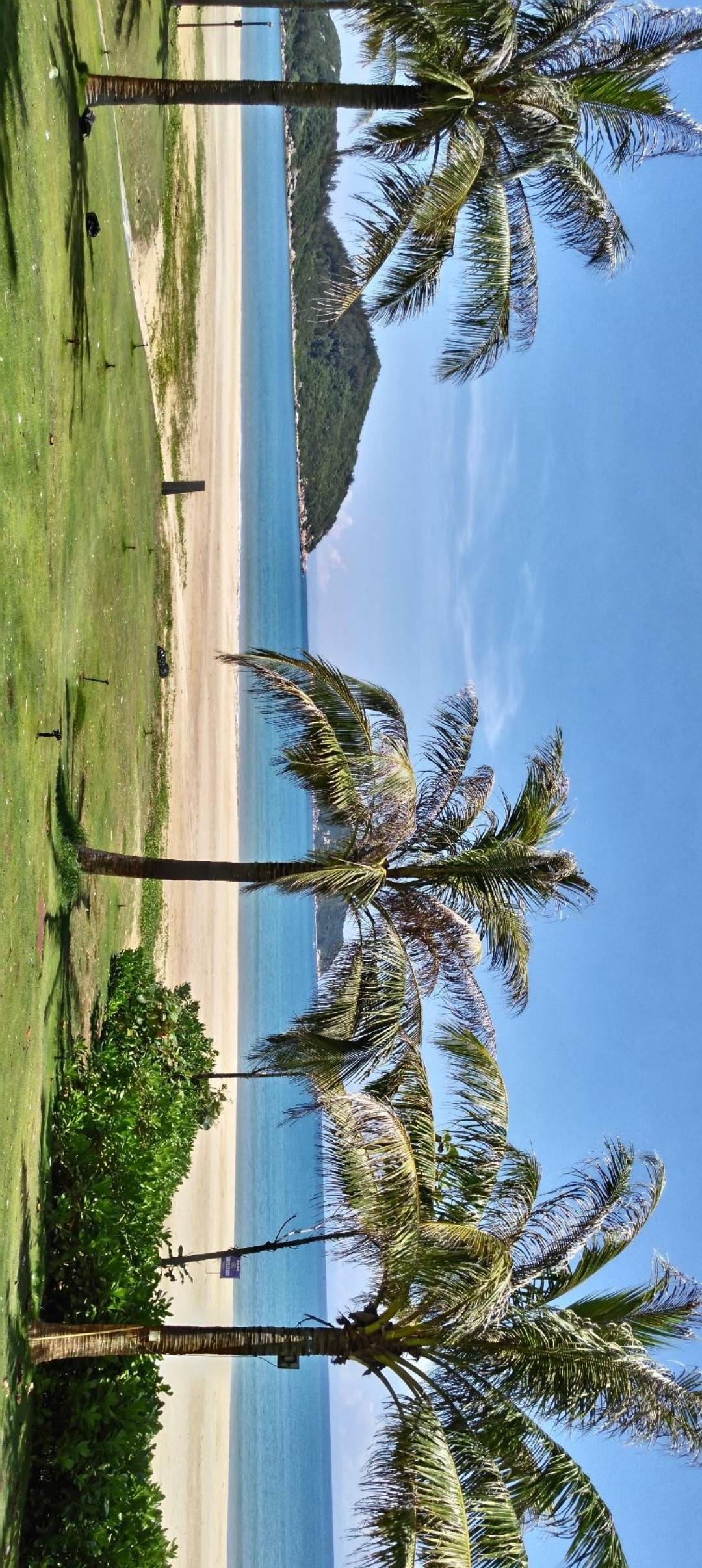蓝天白云下的热带海滩，棕榈树摇曳生姿，沙滩上人影稀疏，海浪轻拍岸边，宁静而美丽。