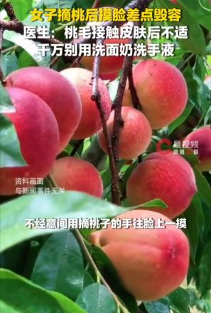 “悲剧还是发生了！”6月14日报道，浙江杭州，一女子摘桃子时，手沾了桃毛，随后用