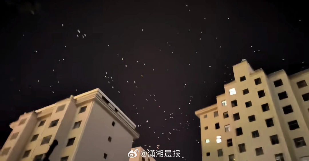 【#甘肃一地现大量飞鸟在天空盘旋#，有网友担心为地震前兆，#地震局回应甘肃现大量