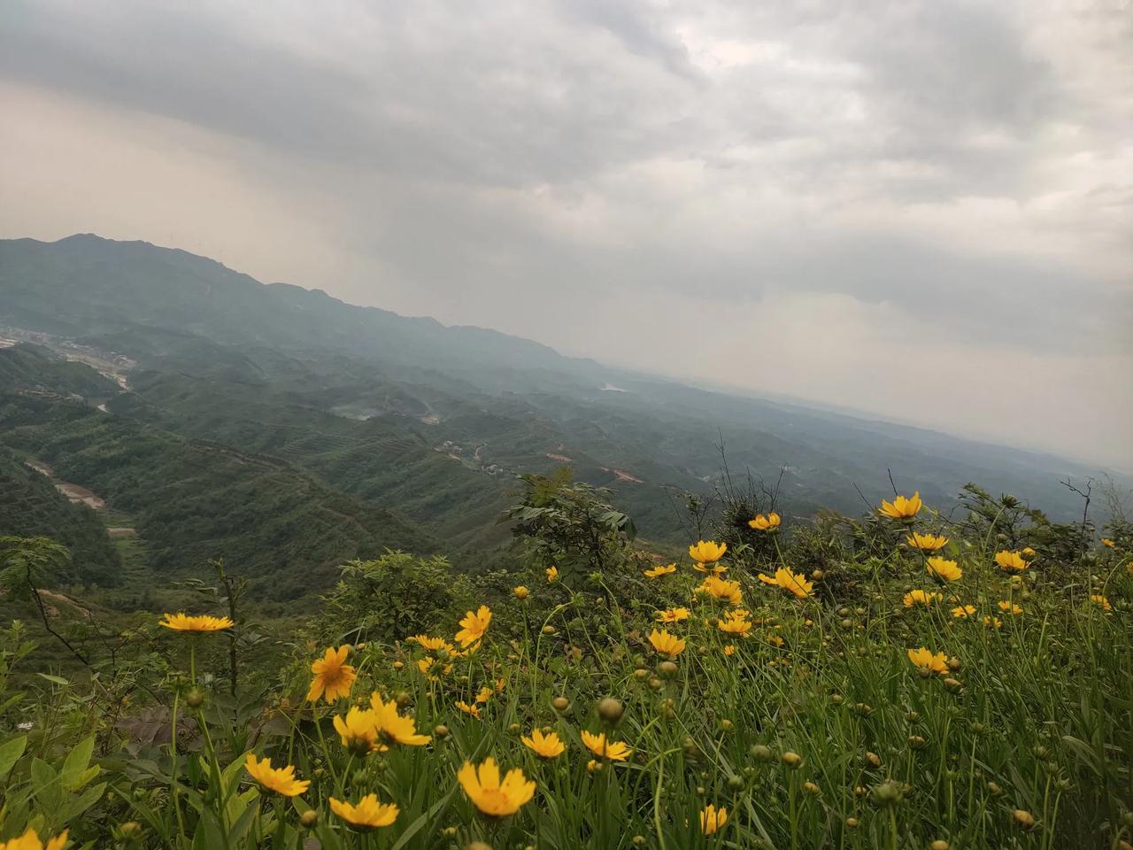 韩国全国戒严6小时，国会准备弹劾总统，尹锡悦在作死的道路上狂奔，入狱或流亡是出路