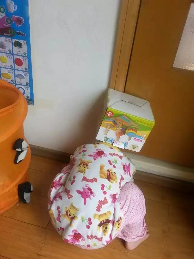 我今天忙着准备公共营养师和注册营养师备考课，以及发布食谱工作室公众号文章，竟然忘