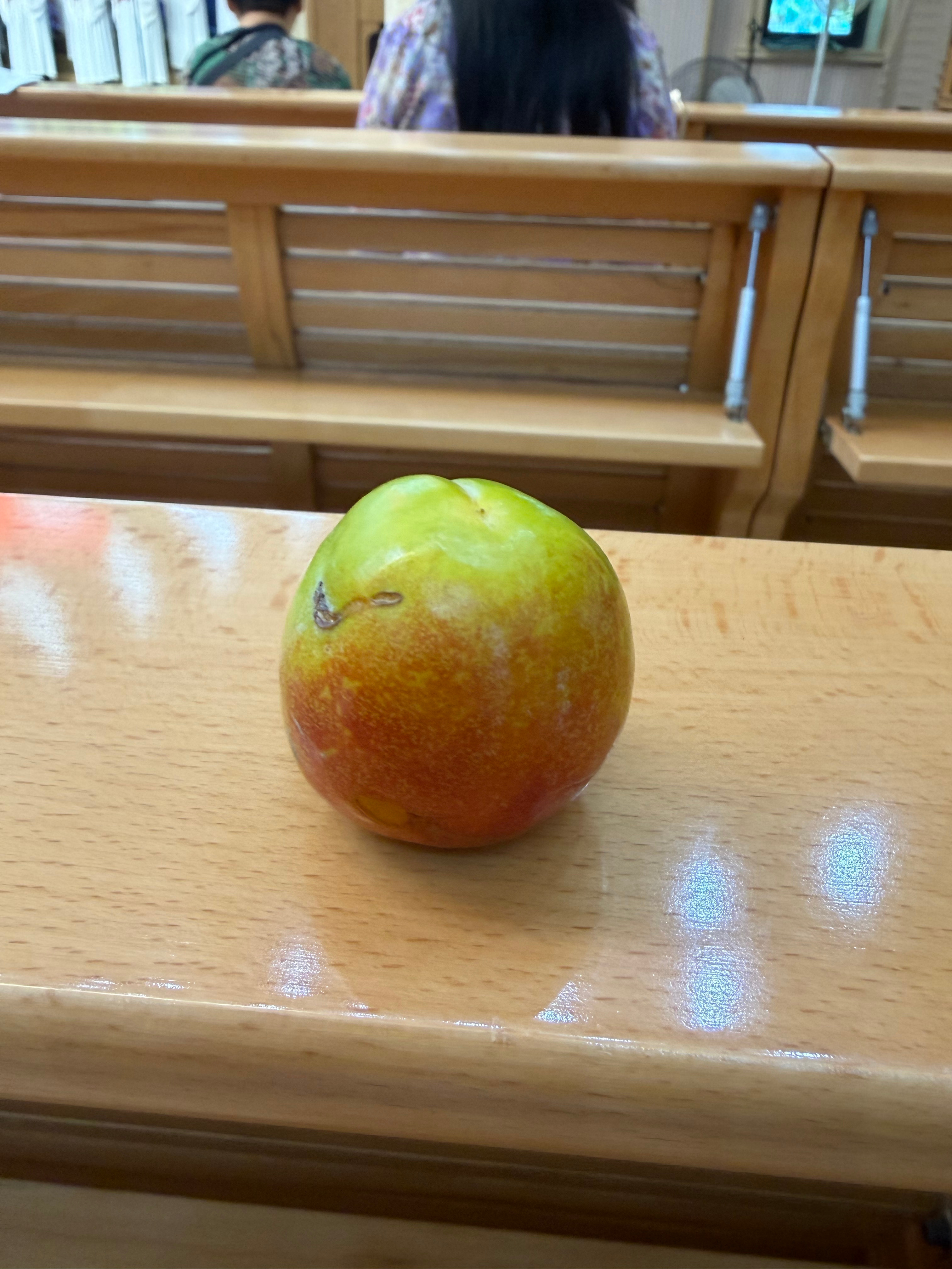 初一考390分还有啥未来吗？昨天老白算了一下，小白期中考总分考了390。大约是看