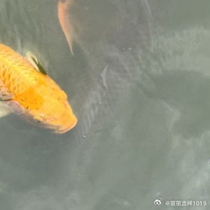 倘若心绪浮躁，就静下来听一阵风声；倘若满怀憧憬，就大胆去奔赴山海。永远拥有拥抱美
