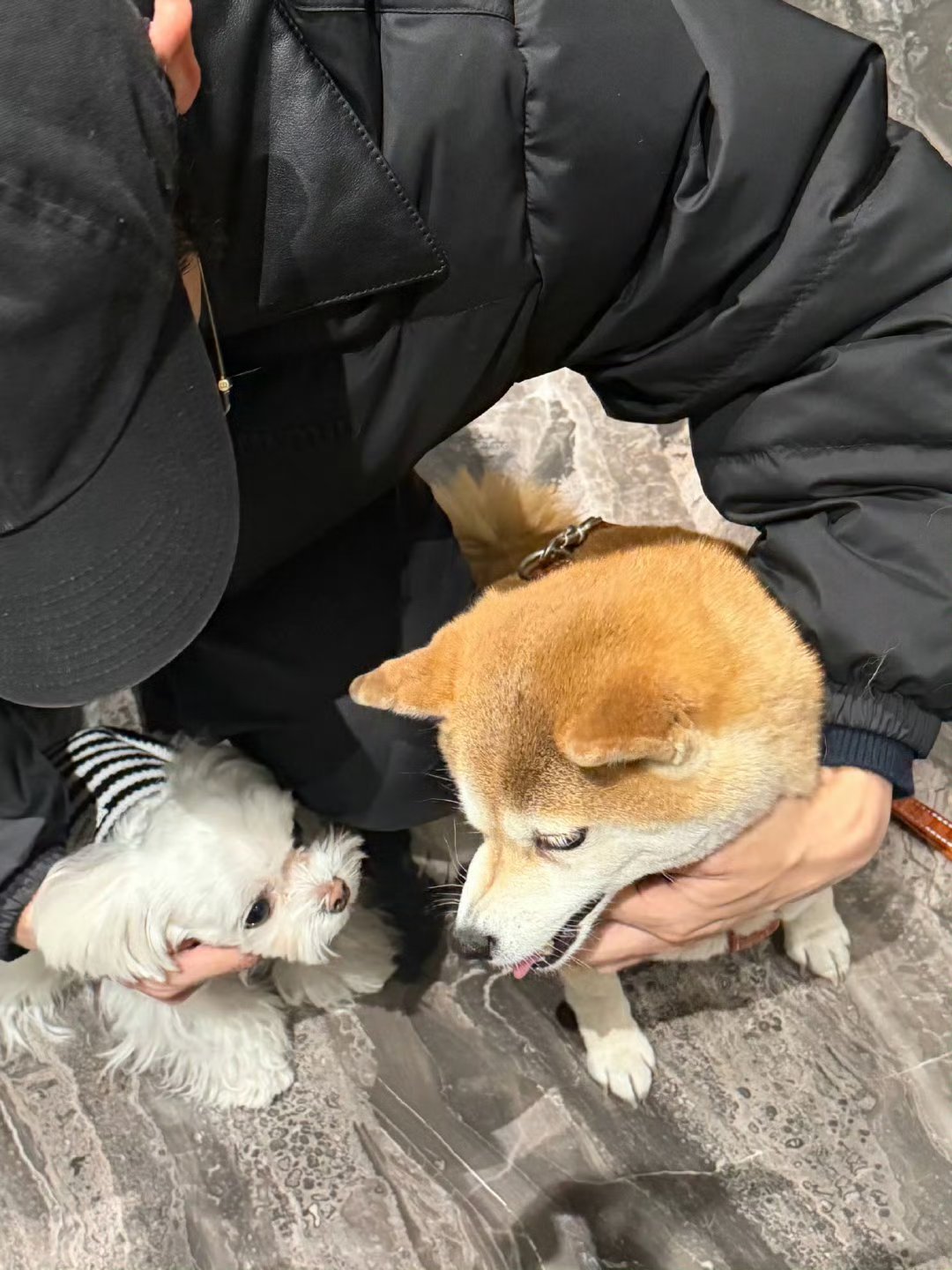 彭昱畅张子枫合照，好甜的哥妹