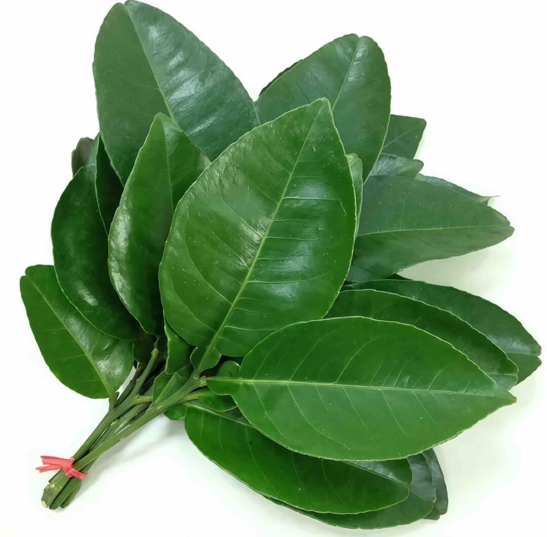 12月只想去晦气