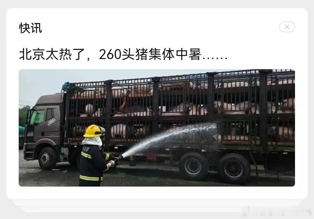 行了，北京是真的够热了…. ​​​