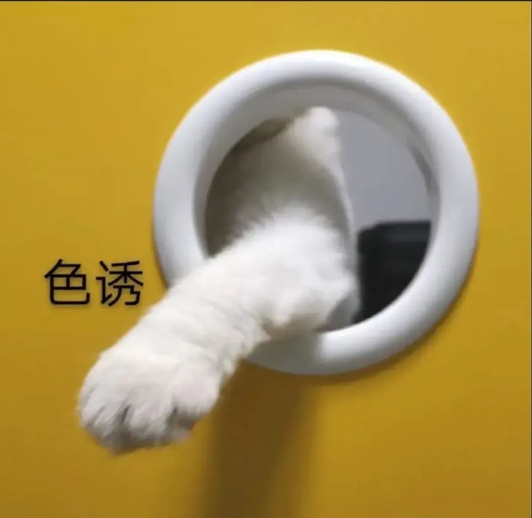 友情侣之间瑟瑟表情包 ​​​