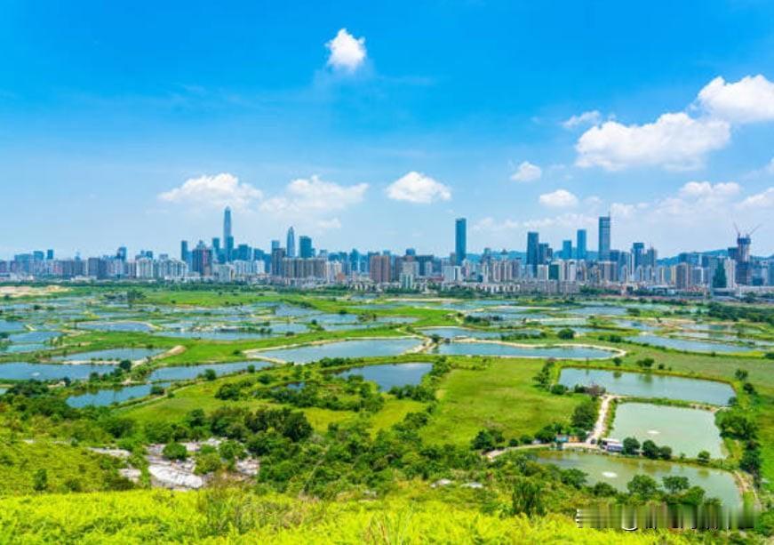 难得一见有印度人会认可中国！！！
印度一家智库表示，独立后不久 (1950)印度