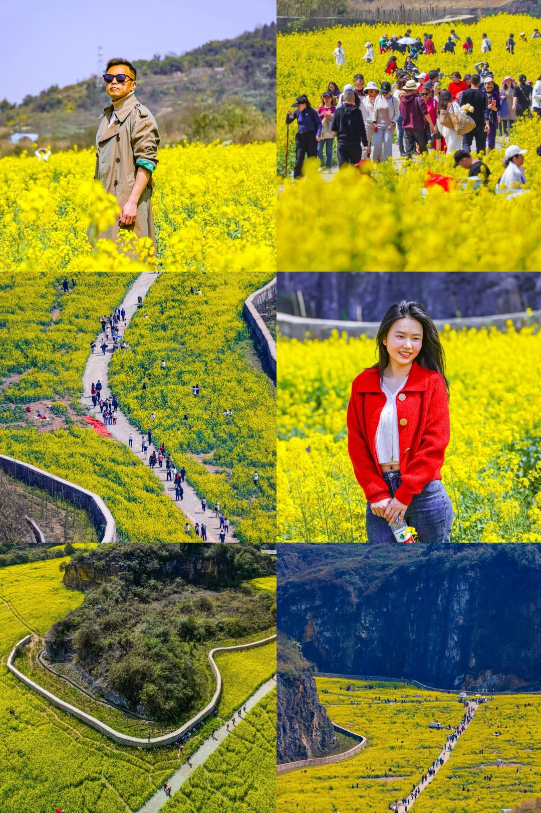 打卡春天，重庆春日油菜花赏花图鉴🌈❤️