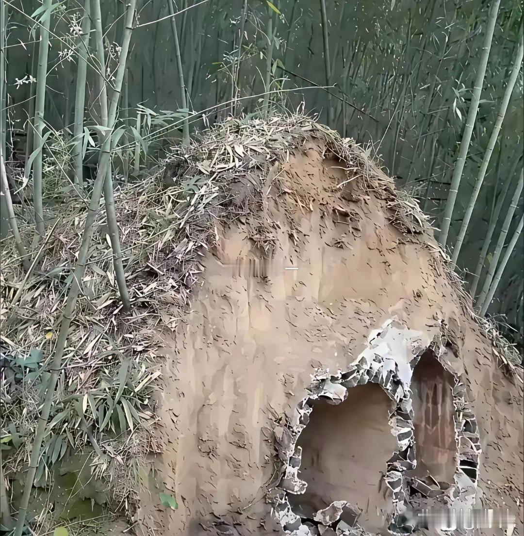 遇到这种事，现在跑还来得及吗 ​​​