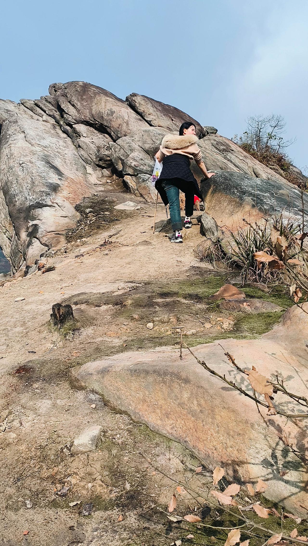 岩径上的暖阳
 
风裹着山的凉意，吹得人耳朵发麻。她攥着登山杖的指节微微发白，深