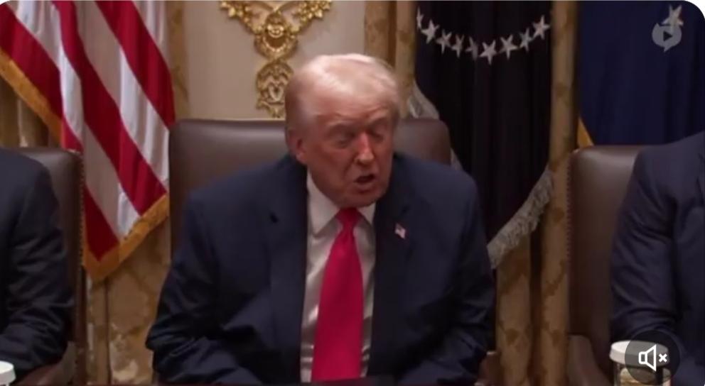 新闻

特朗普在白宫内阁会议上的公开谈及，以及美国移民与海关执法局（ICE）的最